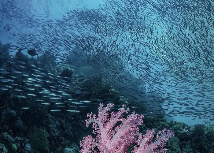 Soma Reef Heaven Your Serene Escape By The Red Sea شاليه